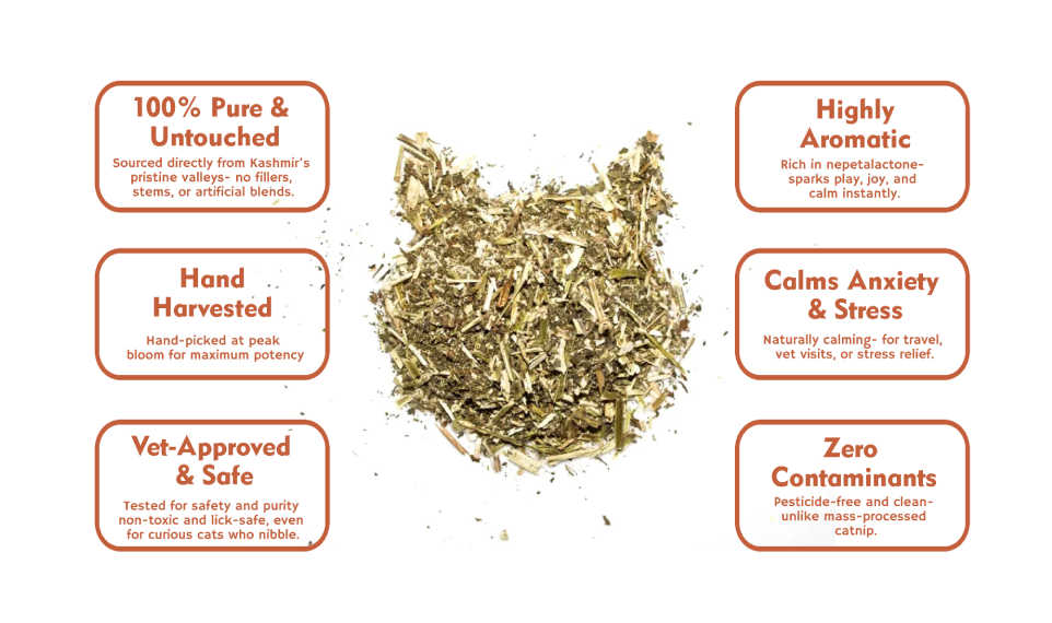gigo catnip chart