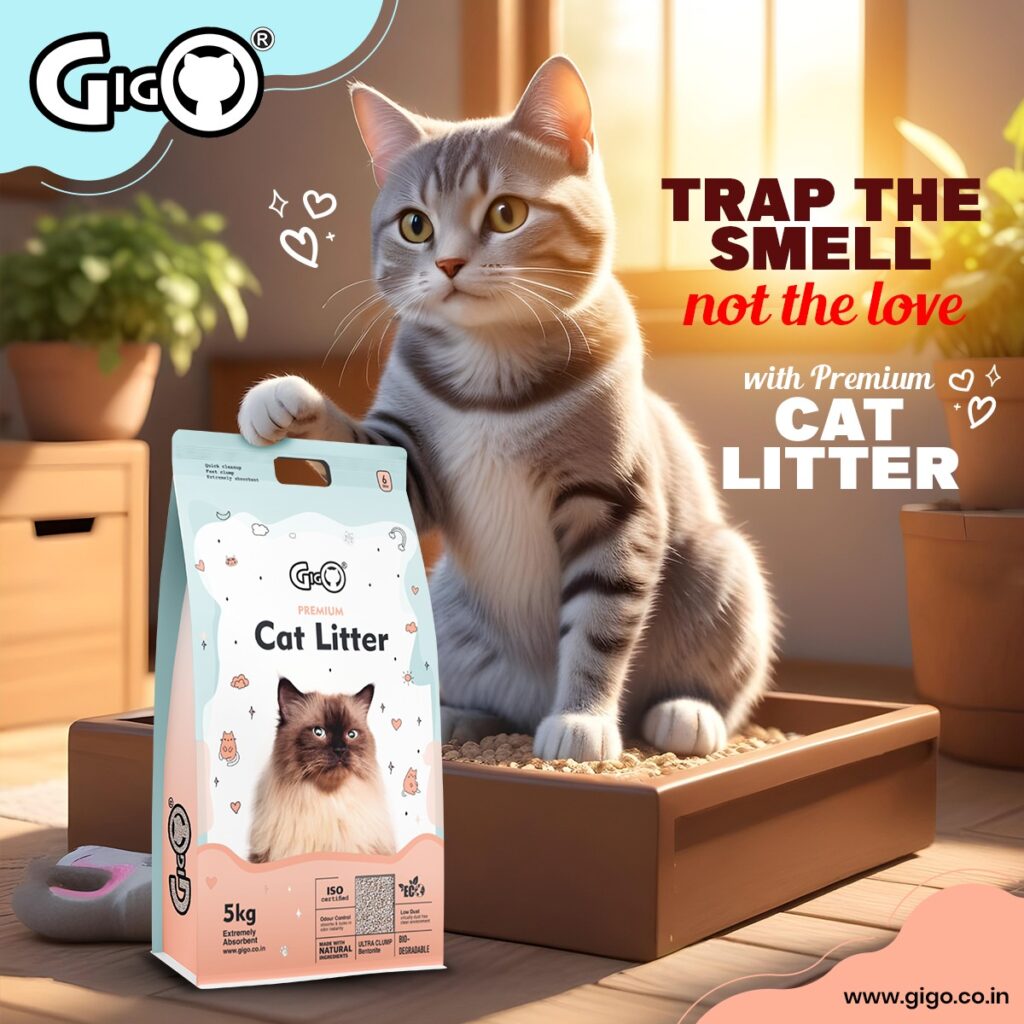 Cat using the best cat litter in India (Gigo Premium Cat Litter)