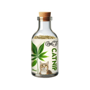 gigo catnip
